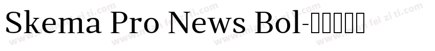 Skema Pro News Bol字体转换